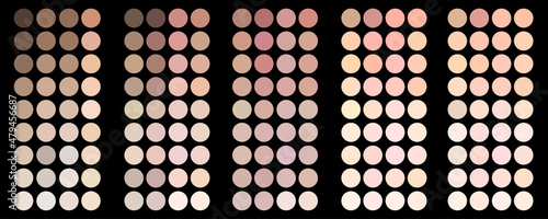 Collection of skin tones palettes. Realistic effect. Beauty sphere. Black background. Vector illustration. Stock image. 