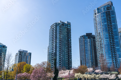 Vancouver city downtown skyscrapers skyline against sunny blue sky. Cherry blossom flowers in full bloom. British Columbia  Canada.