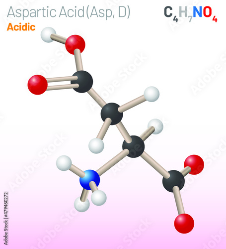 Aspartic Acid (Asp, D) amino acid molecule. (Chemical formula C4H7NO4) proteinogenic amino acid molecule. Ball-and-stick model, space-filling model and skeletal formula. Layered vector illustration
 photo