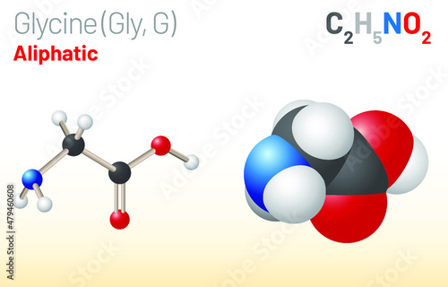 Glycine (Gly, G) amino acid molecule. (Chemical formula C2H5NO2) Ball-and-stick model, space-filling model and skeletal formula. Layered vector illustration