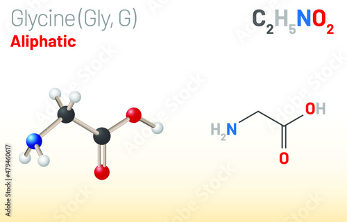 Glycine (Gly, G) amino acid molecule. (Chemical formula C2H5NO2) Ball-and-stick model, space-filling model and skeletal formula. Layered vector illustration
