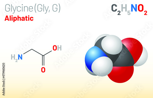 Glycine (Gly, G) amino acid molecule. (Chemical formula C2H5NO2) Ball-and-stick model, space-filling model and skeletal formula. Layered vector illustration
