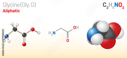 Glycine (Gly, G) amino acid molecule. (Chemical formula C2H5NO2) Ball-and-stick model, space-filling model and skeletal formula. Layered vector illustration