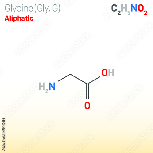 Glycine (Gly, G) amino acid molecule. (Chemical formula C2H5NO2) Ball-and-stick model, space-filling model and skeletal formula. Layered vector illustration