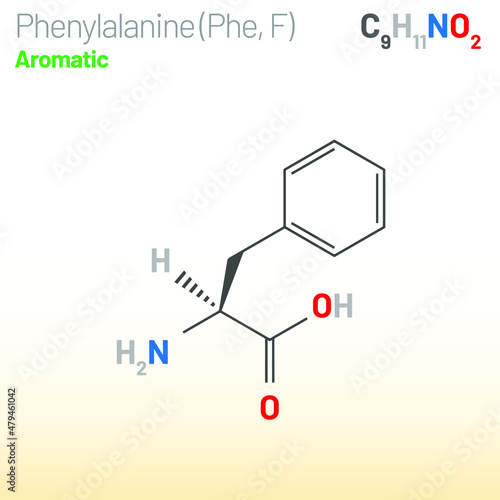 Phenylalanine (Phe, F) amino acid molecule. (Chemical formula C9H11NO2) Ball-and-stick model, space-filling model and skeletal formula. Layered vector illustration photo