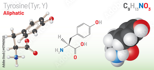 Tyrosine (Trp, W) amino acid molecule. (Chemical formula C9H11NO3) Ball-and-stick model, space-filling model and skeletal formula. Layered vector illustration