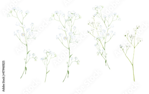 Set of watercolor gypsophila with green leaves. For invitations, backgrounds, wedding sets, fashion, scrapbooking, digital paper. photo