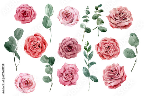 Set of watercolor dusty pink roses with green leaves, eucalyptus. For invitations, backgrounds, wedding sets, fashion, scrapbooking, digital paper.