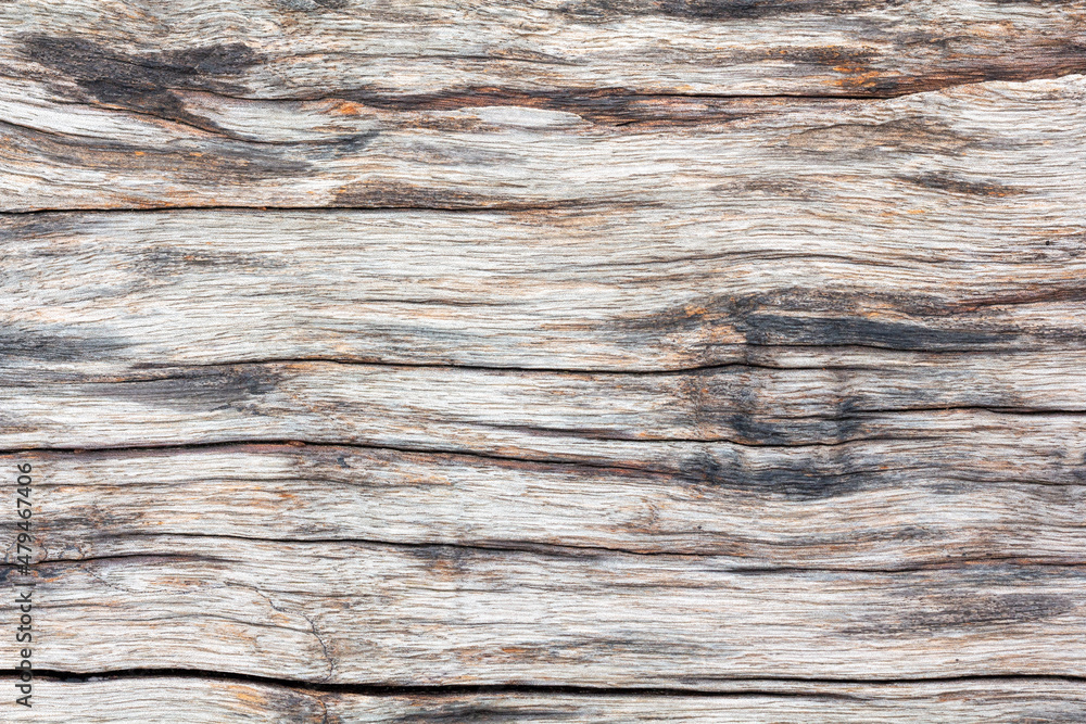 wood texture. background old panel wood texture. background old panel