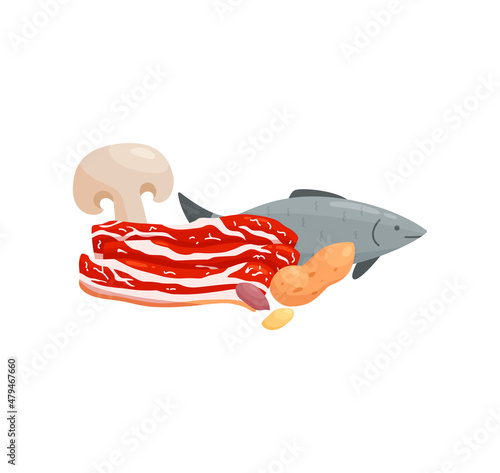 Food sources for vitamin B3 or niacin, flat vector illustration isolated on white background.