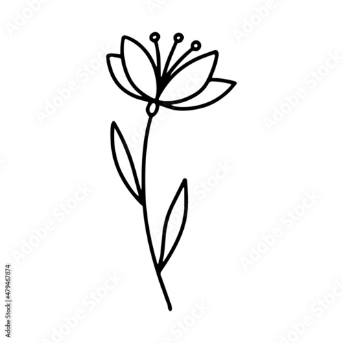 Cute flower in doodle style. Congratulations on the day of engagement or Valentine's Day. Cartoon sketch. An element for greeting cards, posters, stickers and seasonal design.