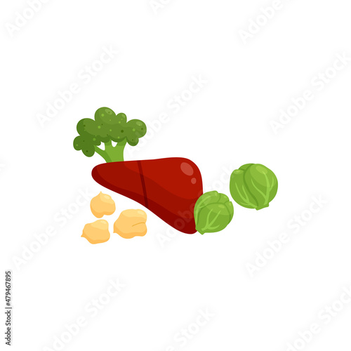 Foods rich in vitamin B9 such as liver and cabbage vector illustration isolated.