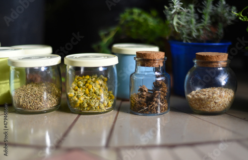 Jars with seeds of flowers and different plants on a table