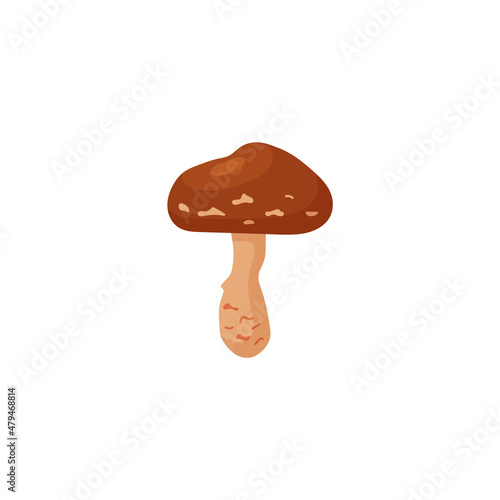 Fresh forest edible mushroom. Vitamin organic nutrition for health in flat