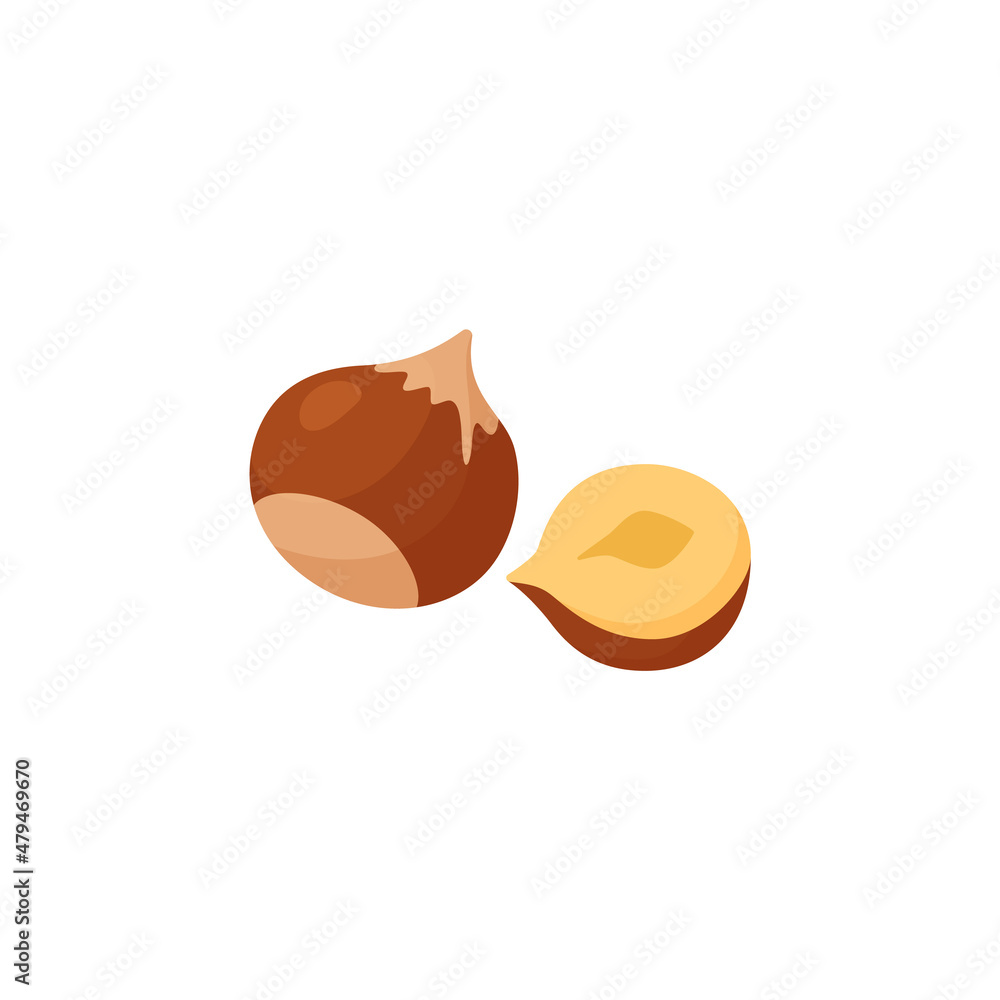 Hazelnut whole and hazelnut opened half, cartoon colored vector illustration. Brown nut, isolated on white background. Hazelnut whole and hazelnut opened half, cartoon colored vector illustration. Brown nut, isolated on white background.