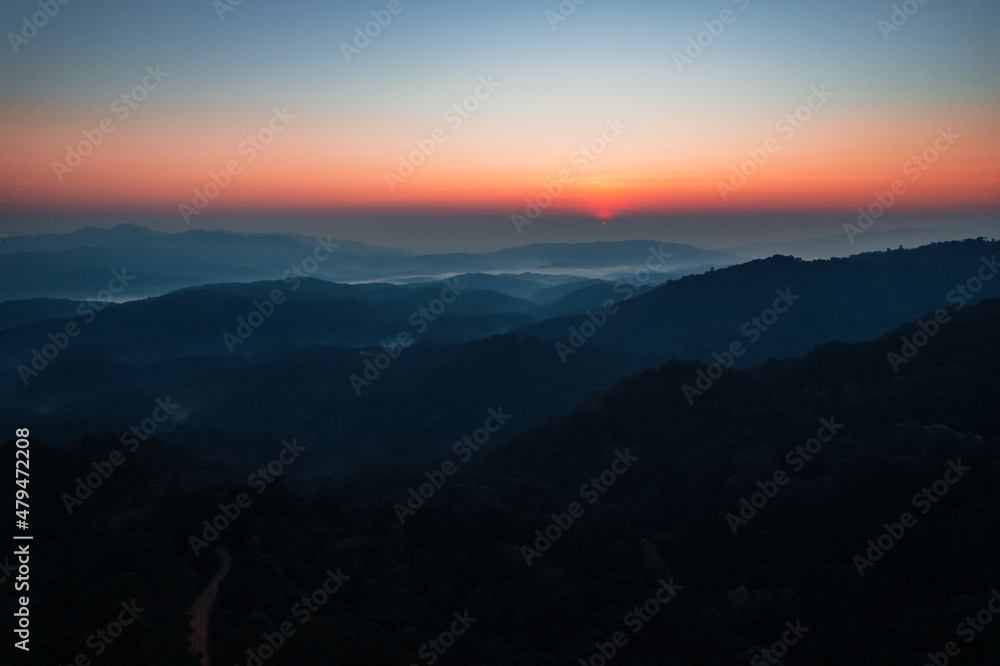 early morning sunrise in the forest