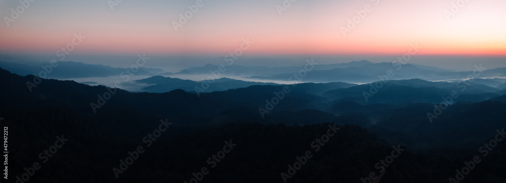 early morning sunrise in the forest - obrazy, fototapety, plakaty 