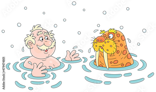 Funny sportsman winter-swimmer together with a big mustached walrus in cold water of an ice-hole, vector cartoon illustration isolated on a white background