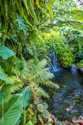 waterfall forest garden