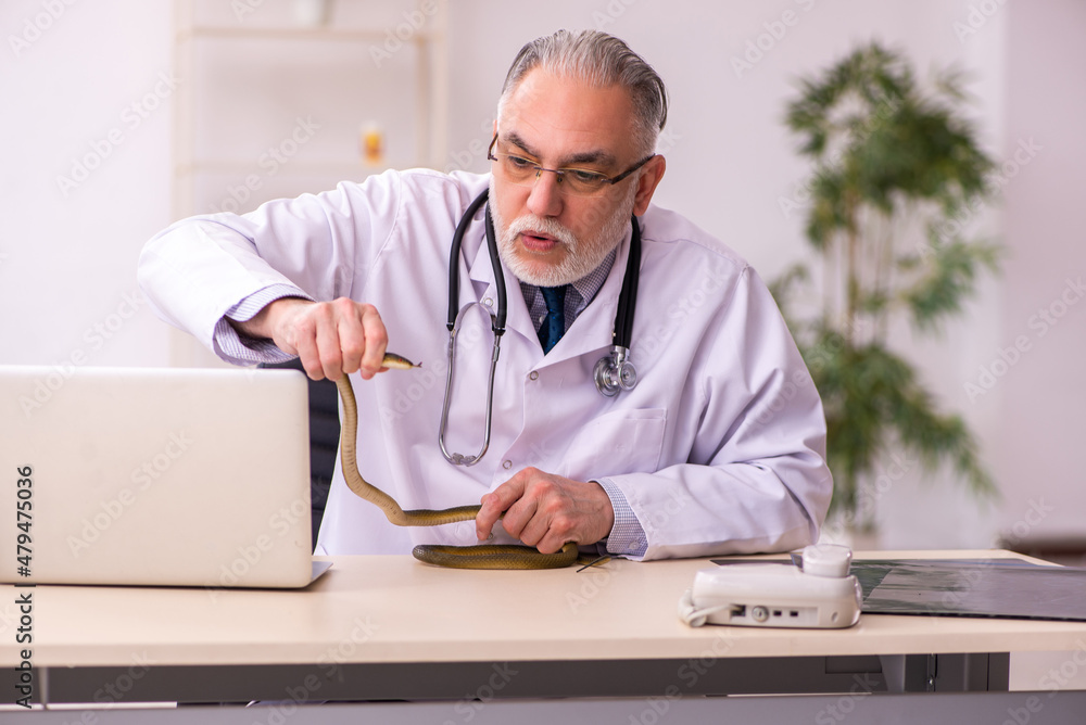 Aged male doctor holding snake in the clinic Aged male doctor holding snake in the clinic