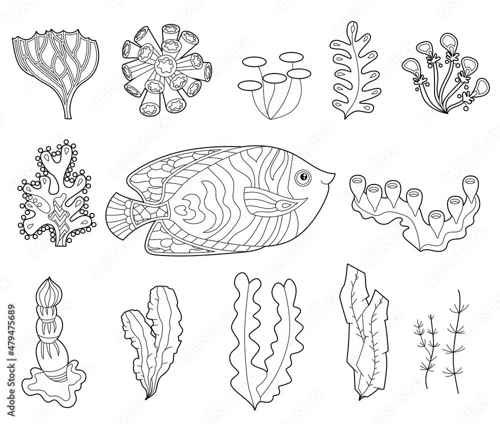Contour linear illustration. Set  with fish and ocean corals for coloring book. Cute objects, anti stress picture. Line art design for adult or kids in zentangle style and coloring page.