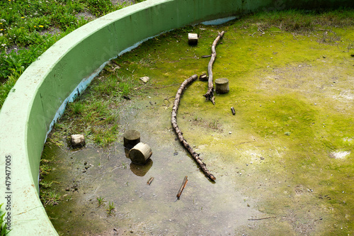 Abandoned pool with algae and wood in it photo