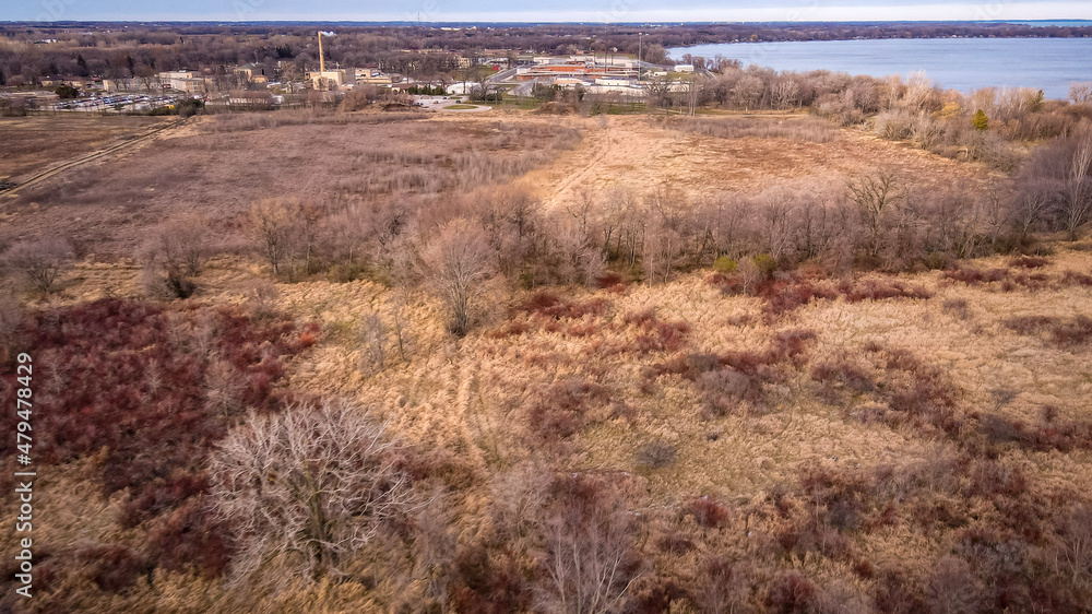 autumn in the forest