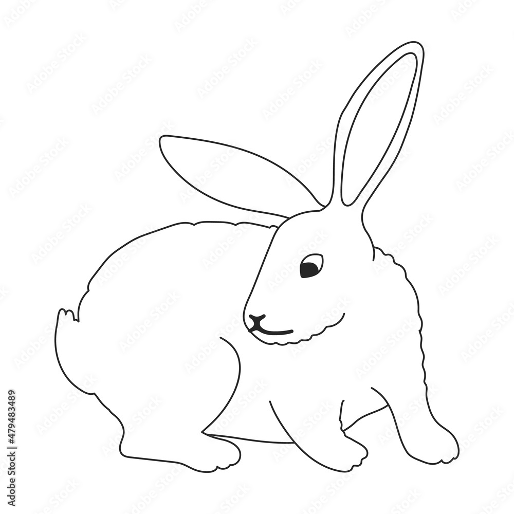 Obraz premium Rabbit vector outline icon. Vector illustration bunny on white background. Isolated outline illustration icon of rabbit.