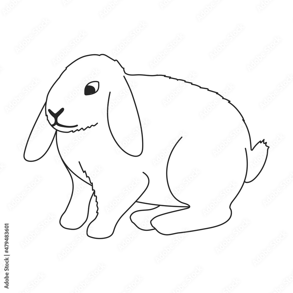 Rabbit vector outline icon. Vector illustration bunny on white background. Isolated outline illustration icon of rabbit.