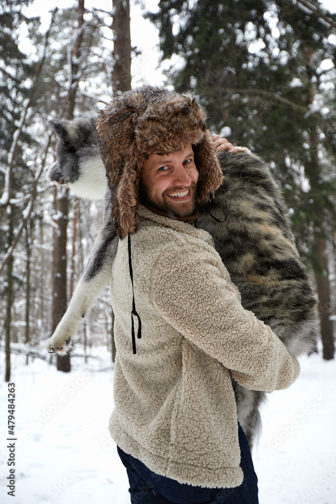 Men playing with siberian husky in winter forest and park, animals and ecology Men playing with siberian husky in winter forest and park, animals and ecology
