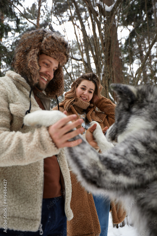 Happy young couple in winterwear playing with purebred siberian husky and having fun in snowbound pine forest Happy young couple in winterwear playing with purebred siberian husky and having fun in snowbound pine forest