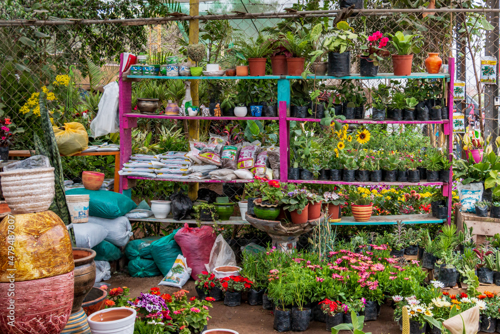 Several ceramic pots of different sizes and colors, next to ornamental plants and flowers inside a plant nursery.
