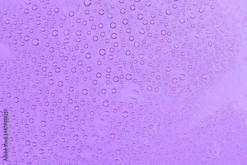 water drops on purple background