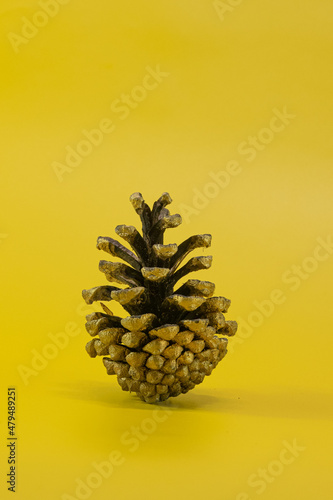 Pine cone on isolatedyellow background photo