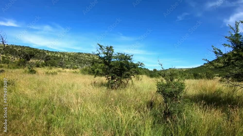 Looking at the landscape while on safari in africa Looking at the landscape while on safari in africa