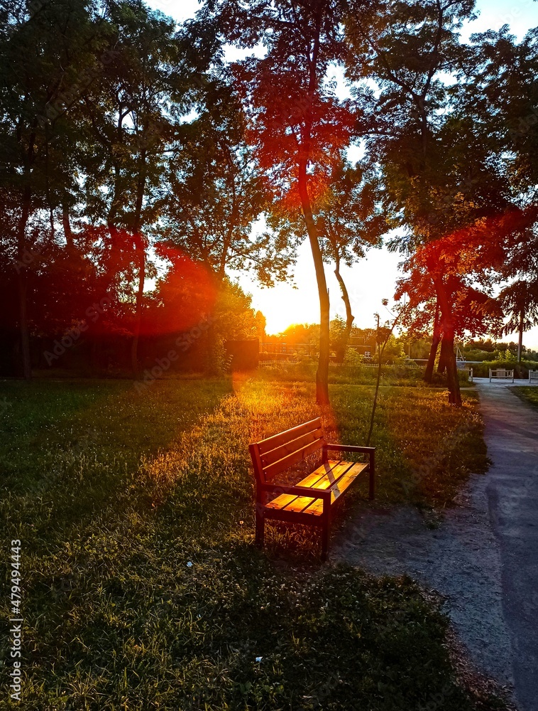 park bench, park, tree trunk, vacation, silhouette, tree, material summer evening,