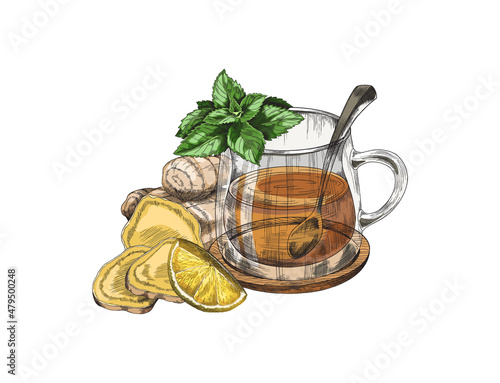 Hand drawn ginger tea with glass cup, lemon, fresh root and mint - sketch vector illustration isolated on white.