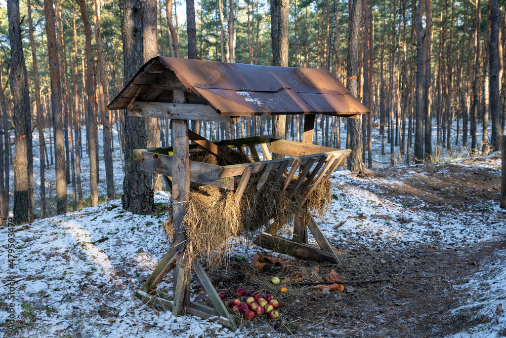 Paśnik, karmnik dla dzikich zwierząt zimą w lesie - obrazy, fototapety, plakaty 
