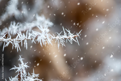 Wallpaper Mural Frozen ice crystals clsoe up . Torontodigital.ca
