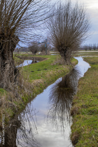 Meadows. Oeverlanden Meppel Staphorst. Netherlands. Willow trees. Ditch. photo