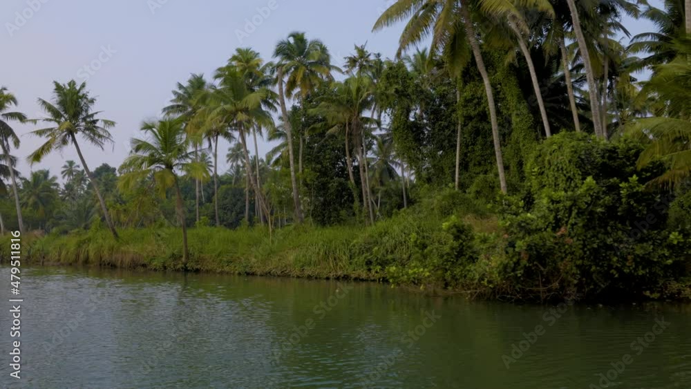 Lush greenery with Palm trees or Coconut trees and Backwater A Shot from Kanyakumari District, Tamil Nadu, India. 4K Video. Lush greenery with Palm trees or Coconut trees and Backwater A Shot from Kanyakumari District, Tamil Nadu, India. 4K Video.