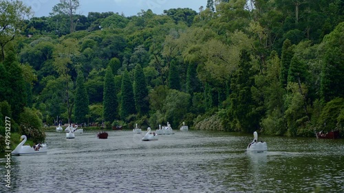 White swan water pedal boats in the Black Lake - Lago Negro - surrounded by the forest in an evening in Gramado, Canela, Rio Grande do Sul, Brazil. Pedalinhos no Lago Negro photo