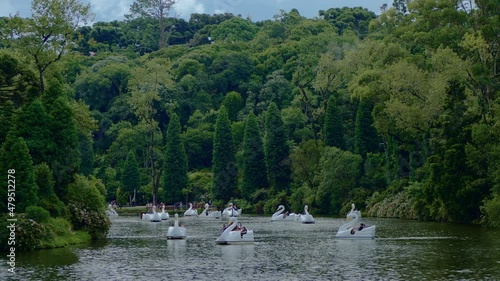 White swan water pedal boats in the Black Lake - Lago Negro - surrounded by the forest in Gramado, Canela, Rio Grande do Sul, Brazil. Pedalinhos no Lago Negro photo