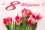 8 Марта  card  Women's Day. Tulip flowers  on a pastel pink background with text  8 March .  mother's day, womens day concept.