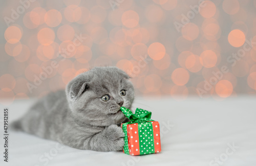 Playful kitten holds gift box with festive background. Empty space for text