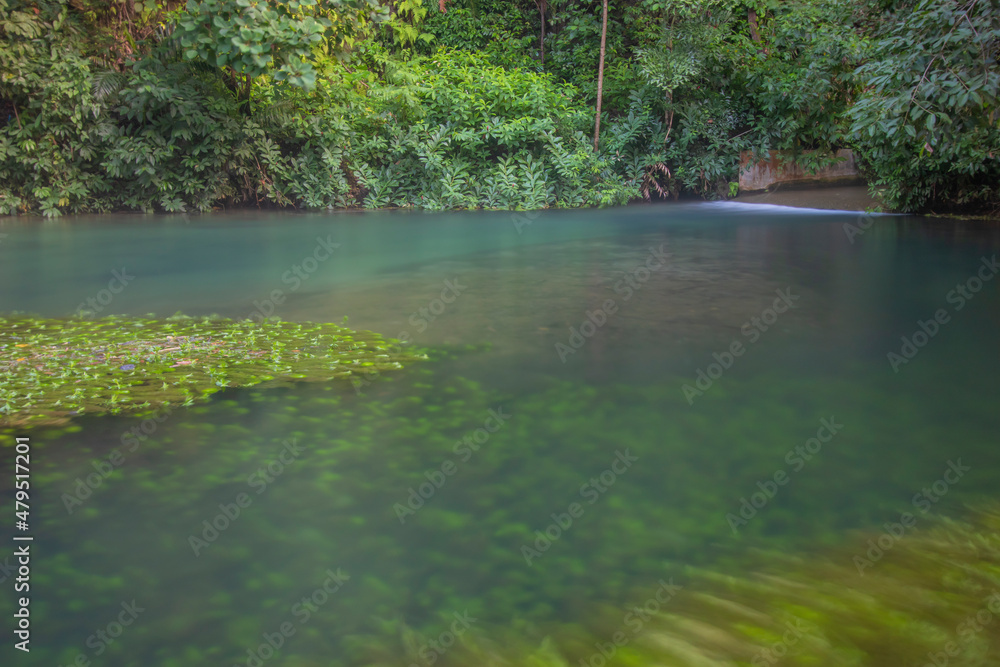 This Is a Beautiful Brazilian Lake This Is a Beautiful Brazilian Lake