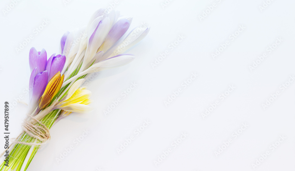 Naklejka premium Bouquet of spring flowers with soft focus. Lilac and yellow crocuses on a white background with copy space