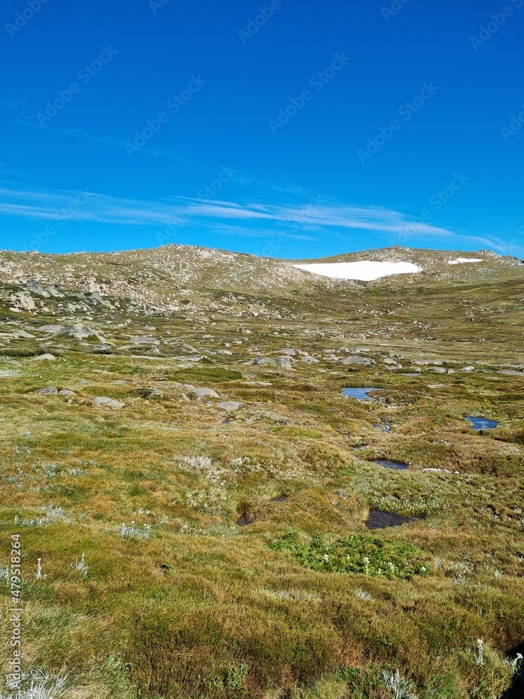 Fototapeta premium Kosciuszko national park in summer