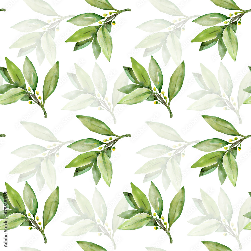 Seamless pattern Tree laurel.Image on white and colored background.Seamless pattern. Seamless pattern Tree laurel.Image on white and colored background.Seamless pattern.