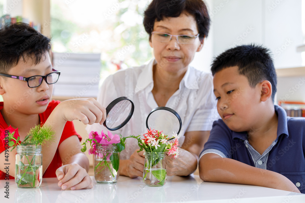 Asia children students group learning about science and Looking through magnifying glass researching in the classroom.